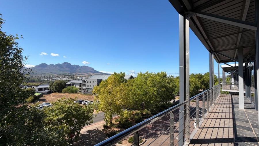 To Let commercial Property for Rent in Techno Park Western Cape